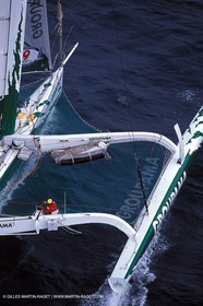 RhuMulti41.jpg