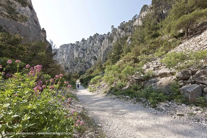 03 05 2009 - Marseille (FRA, 13) - Les Calanques - En Vau - Vallon d' En vau