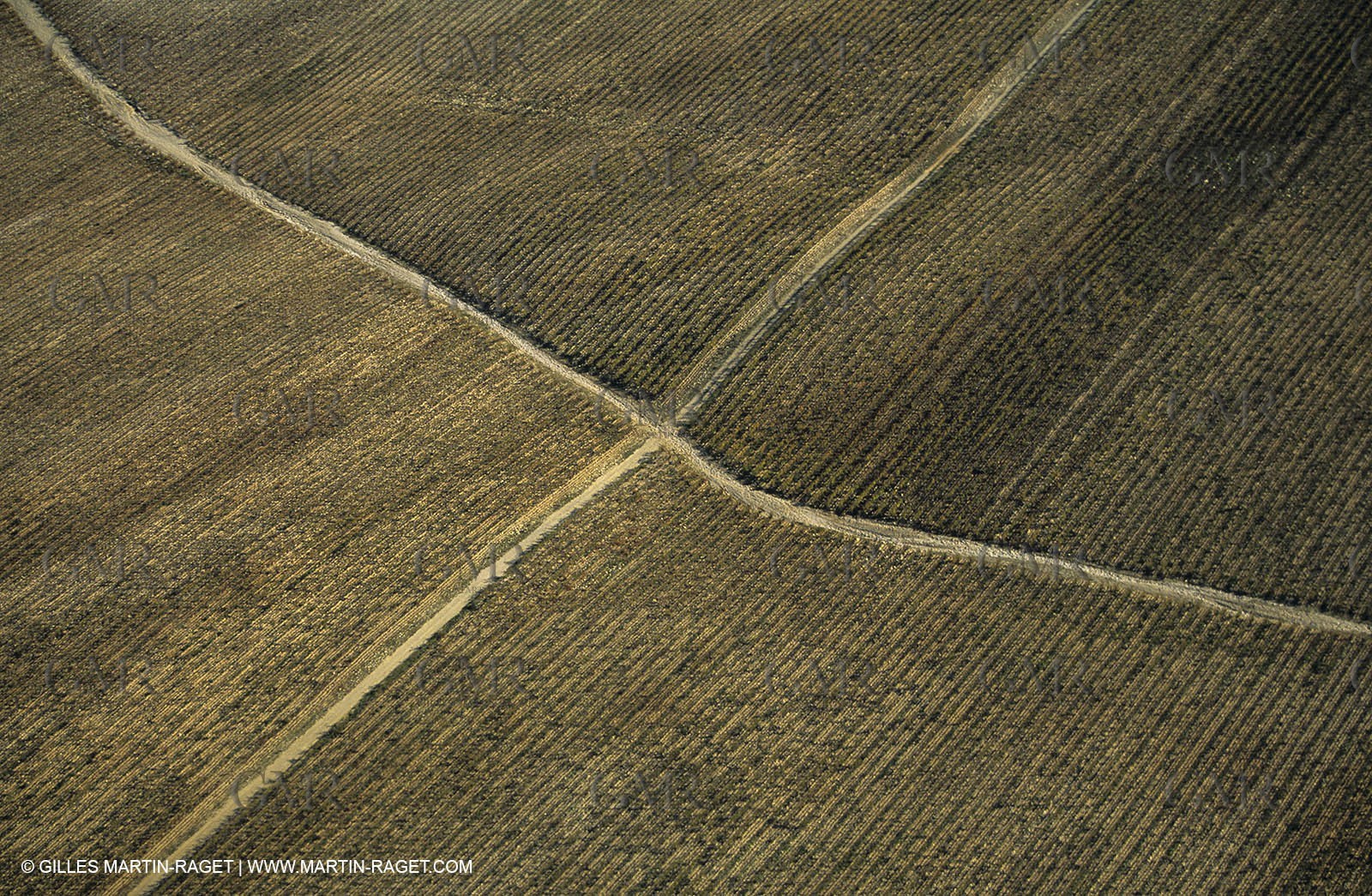 Paysages de Nîmes Métropole (FRA,30) -Costières