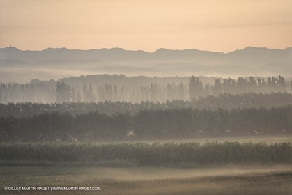 France, Provence, paysage des Alpilles, Alpilles landscapes