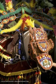 Saint Rémy de Provence - Fêtes de la careto ramado