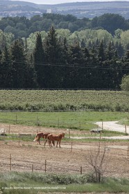 28 04 2009 - Saint Chaptes (FRA, 30) - Atlas Nîmes Métropole - campagne 2009