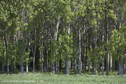 28 04 2009 - Russan - Commune de Ste Anastasie (FRA, 30) - Atlas Nîmes Métropole - campagne 2009