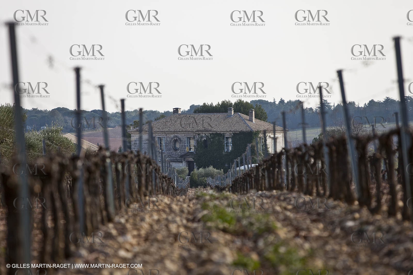 Saint Drézéry (FRA, 34), Domaine de Puech Haut