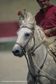 France, Provence, Camargue,work, fests, stock keeping