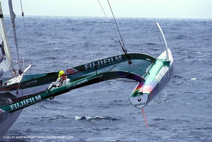 RhuMulti38