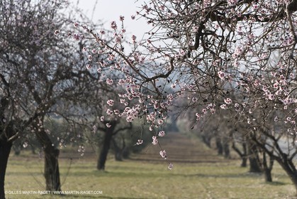 16 02 2008 - Les Baux de Provence (FRA, 13) - Alpilles hills landscapes