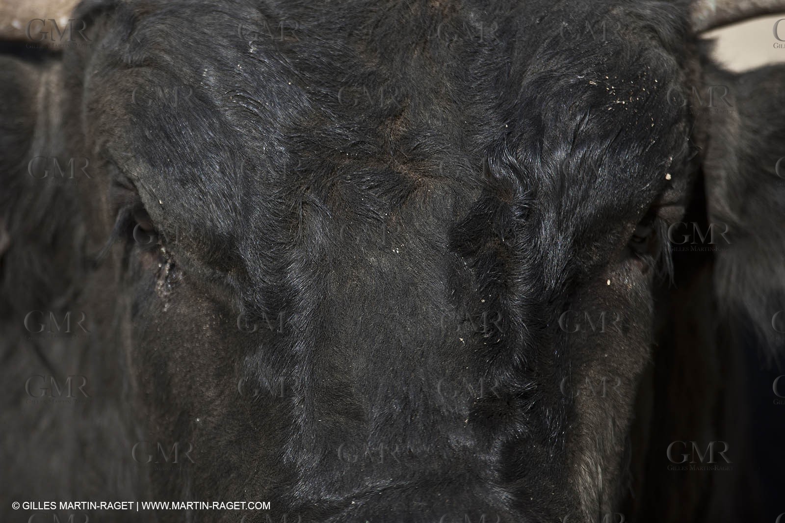 19 04 2011 - Arles (FRA,13) - Easter Feria toros