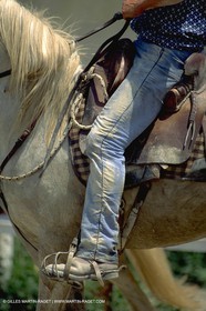 Arles - Travail des gardians de Camargue