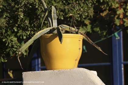 29 07 2009 - Marseille (FRA, 13) - Les Calanques