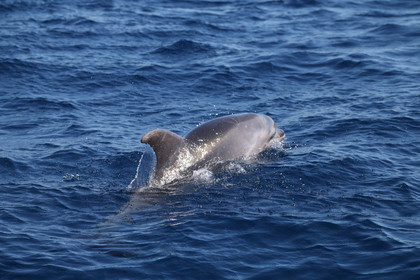 GMR_JurisCup25_3457