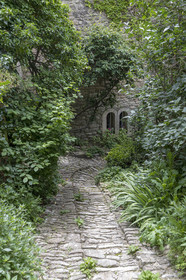 10 06 2018, Saignon (FRA,84)