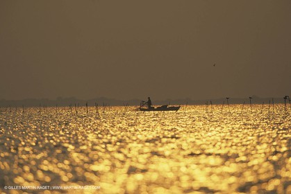 France, Provence, Camargue, Nature, Pêche, Fishing