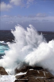 tempest