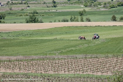 28 04 2009 - Saint Chaptes (FRA, 30) - Atlas Nîmes Métropole - campagne 2009