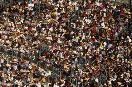 Nîmes - Bullfight in the arenas
