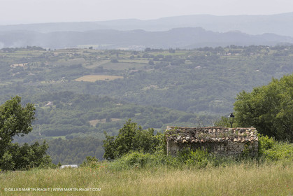 10 06 2018, Caseneuve (FRA,84)