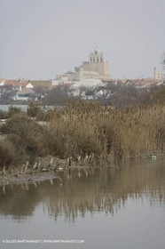 16 02 2008 - Les Saintes Maries de la mer (FRA, 13) - Cabanes de gardians
