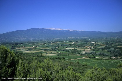 Provence - Cotes du Rhone - Mont Ventoux