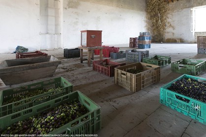 14 11 2015, Saint-Etienne du Grès (FRA,13), fabrication traditionelle de l'huile d'olive au moulin de la Croix