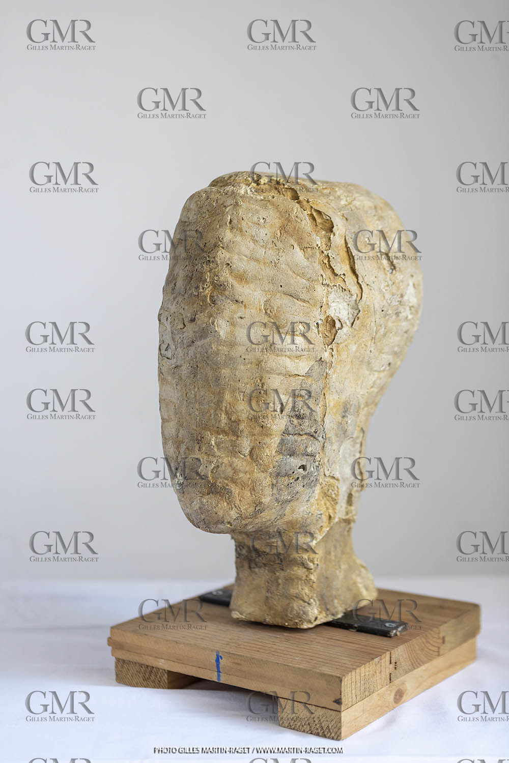 Oeuvre Germaine Richier, Plâtre buste n° 12, dit 'Le Tatou , 1934