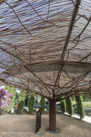 22 06 2018, Saint-Saturnin les Apts (FRA,84), Domaine des Andéols