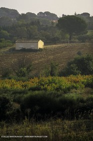 Paysages de Nîmes Métropole (FRA,30) -Costières
