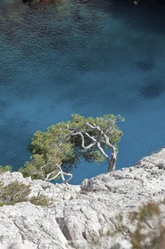 26 03 2009 - Marseille (FRA, 13) - Les Calanques - Sugiton