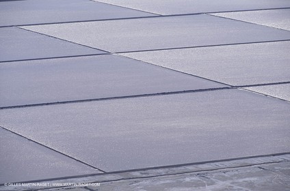 Marais salants