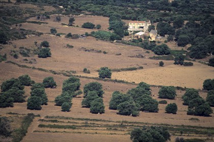 Corsica