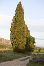04 05 2008 - Saint Rémy de Provence (FRA, 13) - Alpilles hills landscapes
