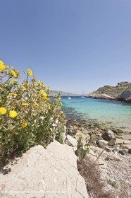 07 05 2009 - Marseille (FRA, 13) - Les Calanques - Riou