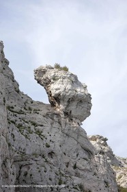 05 05 2009 - Marseille (FRA, 13) - Les Calanques - Riou island