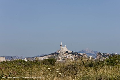 2009 - Marseilles (FRA,13) - Frioul islands