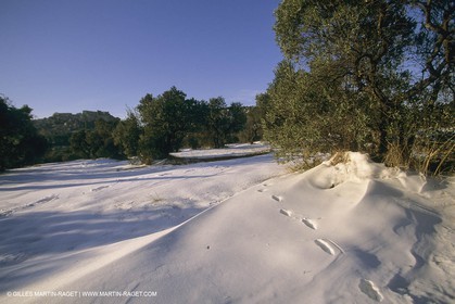 France, Provence, Neige en hiver   Snow in Provence