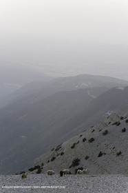 vtx0807_0070.JPG