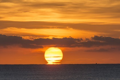 11 10 2014, Alicante (ESP), Volvo Ocean Race 2014-15, Team Alvimedica