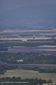 13 08 2007 - Valensole (04) - lavender fields on Valensole plateau