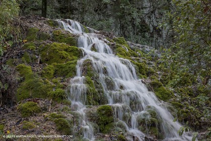23 10 2012 - Gemenos (FRA) - Parc Départemental de la vallée de Saint Pons