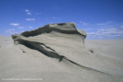 France, Provence, Camargue, Nature, plage, sable