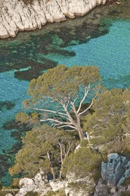 03 05 2009 - Marseille (FRA, 13) - Les Calanques - En Vau