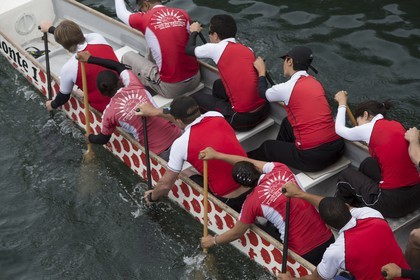 08 11 2014, Capetown (ZAF), Volvo Ocean Race 2014-15, Team Alvimedica, Nursing the boat