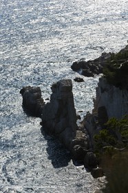 26 06 09 - Sanary sur mer (FRA,83)