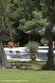 10 06 2008 - Saint Rémy de Provence (FRA,13) - Chateau des Alpilles