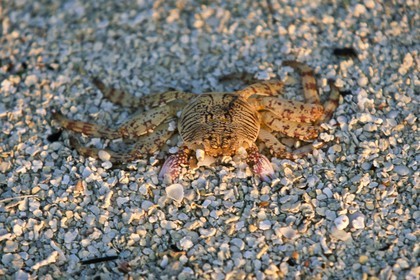 Destinations - Indian Océan - Maldives