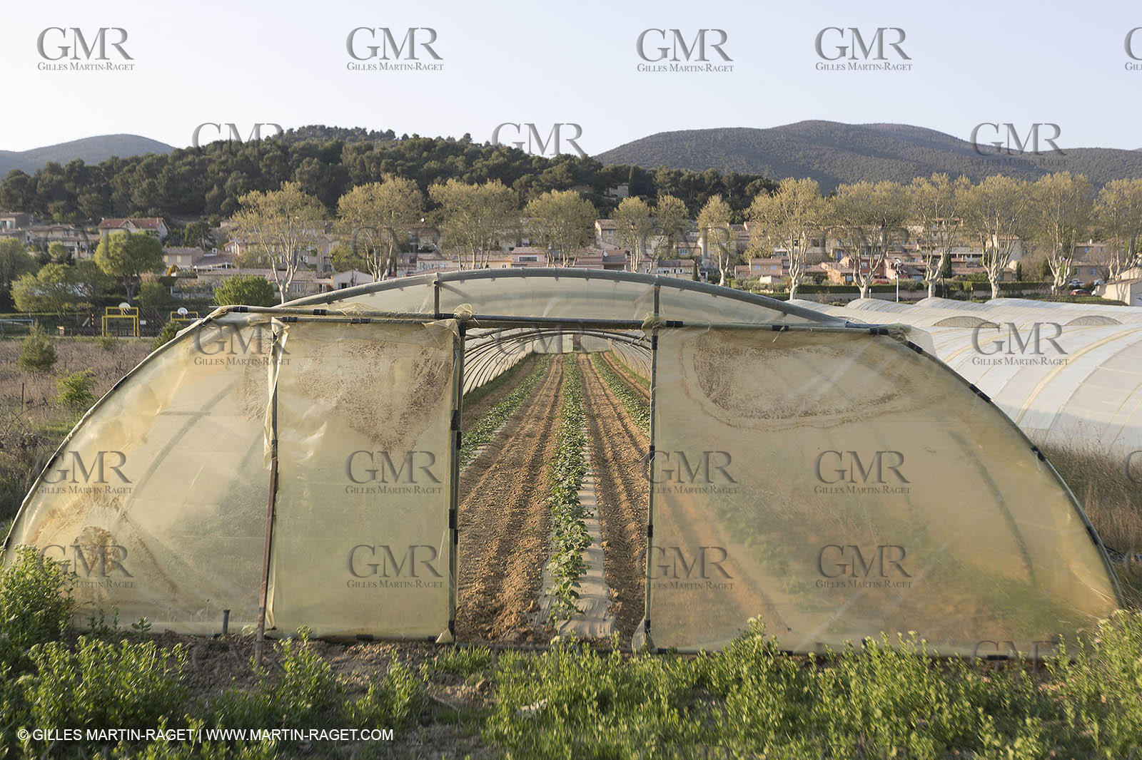 19 04 2018, Vaugines (FRA,84)