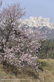 16 02 2008 - Les Baux de Provence (FRA, 13) - Alpilles hills landscapes