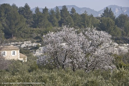 16 02 2008 - Les Baux de Provence (FRA, 13) - Alpilles hills landscapes