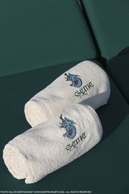 25 06 2015, Saint Tropez (FRA,83) , Sailing, Super yachts, Wally, Genie of The Lamp