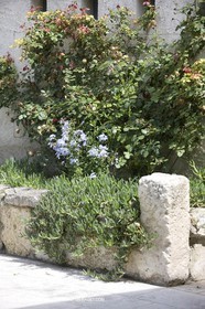 10 06 2008 - Saint Rémy de Provence (FRA,13) - Chateau des Alpilles